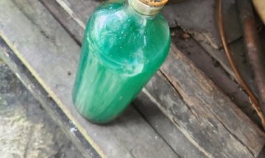 Hati-Hati Pertalet Dioplos Dengan Air Radiator